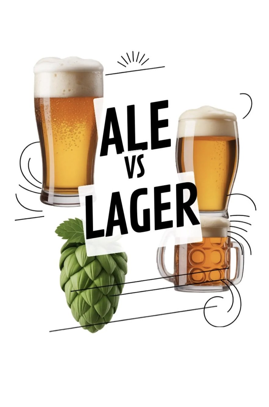 Ale vs Lager Beer Guide
